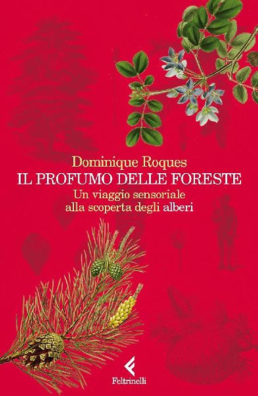 Il profumo delle foreste. Un viaggio sensoriale alla scoperta degli alberi