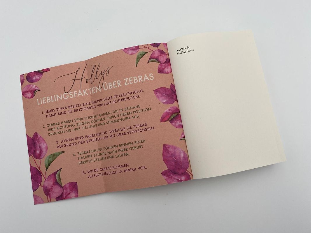 Asterix 06. Griechische Ausgabe. LA ZIZANIE.