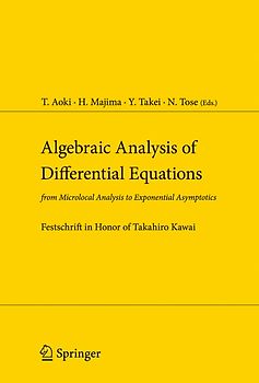 Algebraic Analysis of Differential Equations