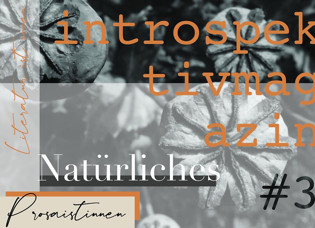 introspektiv #3 – Natürliches