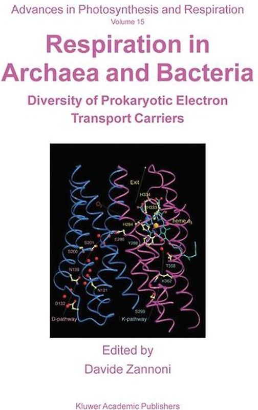 Respiration in Archaea and Bacteria