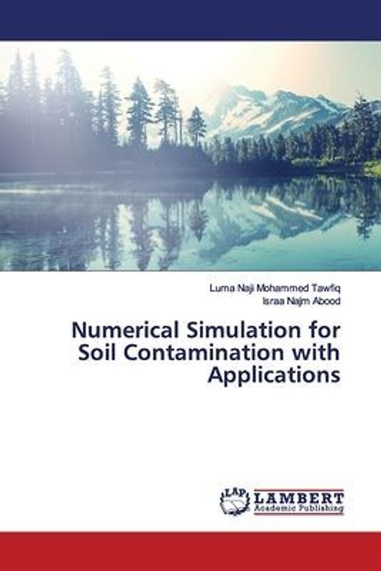 Numerical Simulation for Soil Contamination with Applications