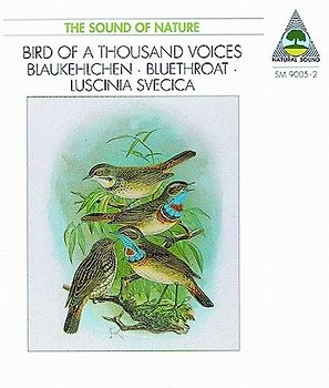Blaukehlchen