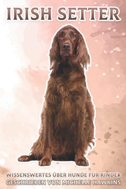 Irish Setter: Wissenswertes über Hunde für Kinder #35