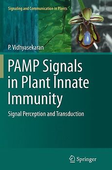 PAMP Signals in Plant Innate Immunity