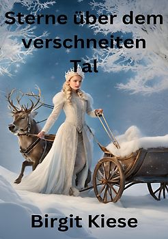 Sterne über dem verschneiten Tal