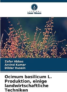 Ocimum basilicum L. Produktion, einige landwirtschaftliche Techniken