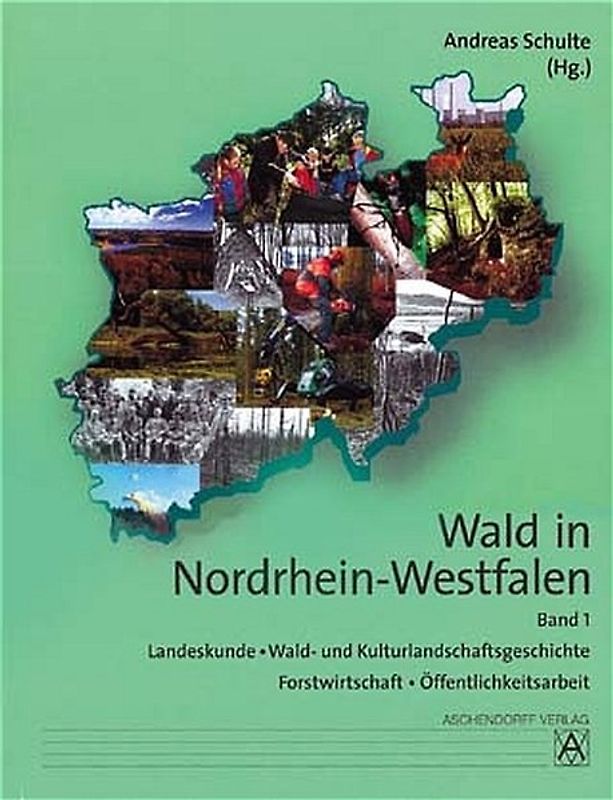 Wald in Nordrhein-Westfalen