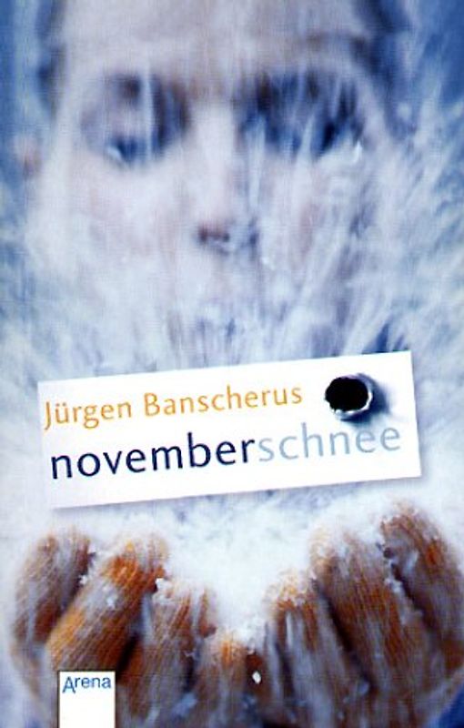 Novemberschnee