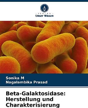 Beta-Galaktosidase: Herstellung und Charakterisierung