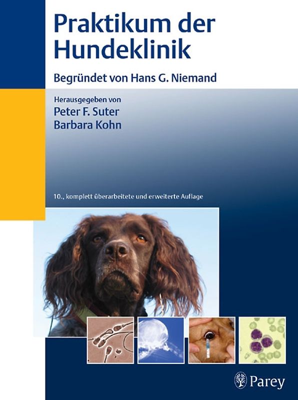 Praktikum der Hundeklinik