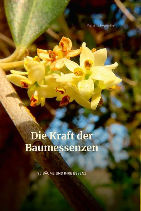 Die Kraft der Baumessenzen