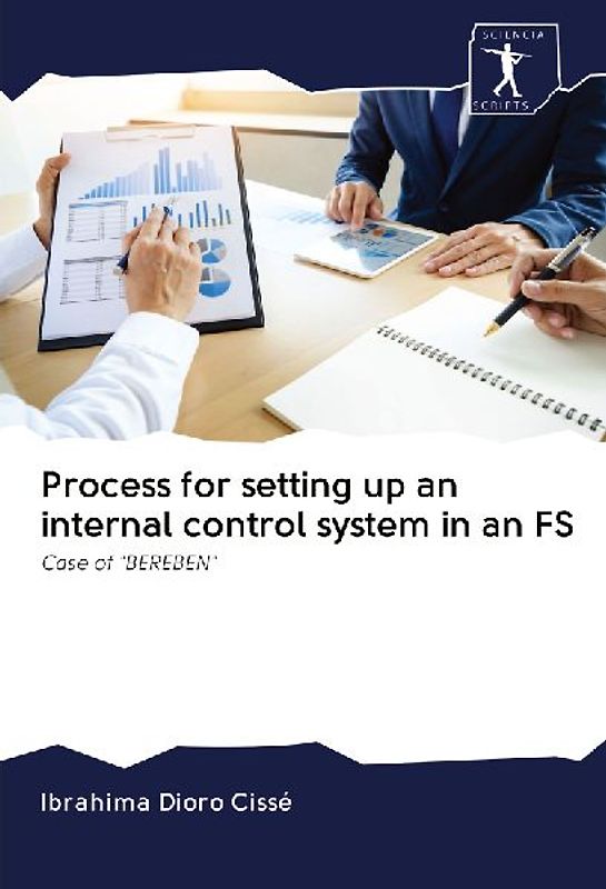 Process for setting up an internal control system in an FS