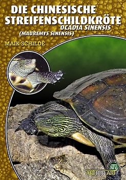 Die Chinesische Streifenschildkröte