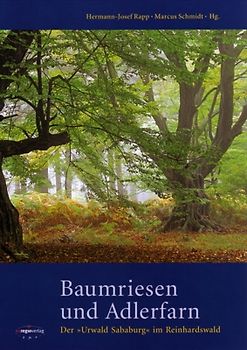 Baumriesen und Adlerfarn
