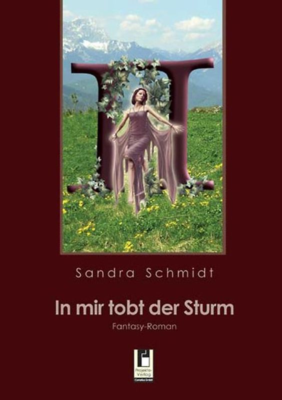 In mir tobt der Sturm