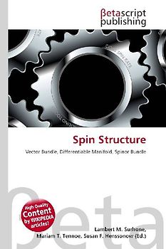 Spin Structure