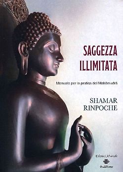 Saggezza illimitata. Manuale per la pratica del Mahàmudrà