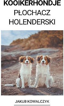 Kooikerhondje (Plochacz Holenderski)