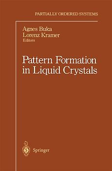 Pattern Formation in Liquid Crystals