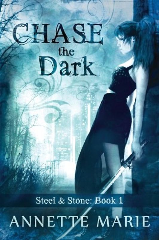 Chase the Dark (Steel & Stone, Band 1)