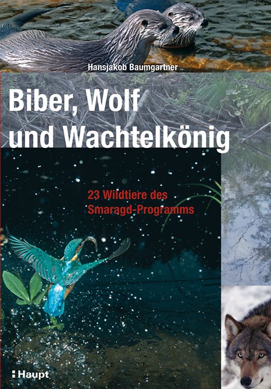 Biber, Wolf und Wachtelkönig