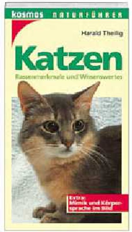 Katzen
