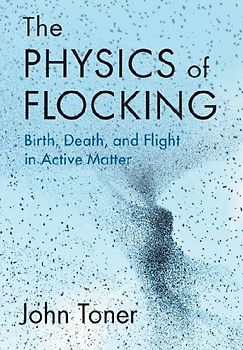 The Physics of Flocking