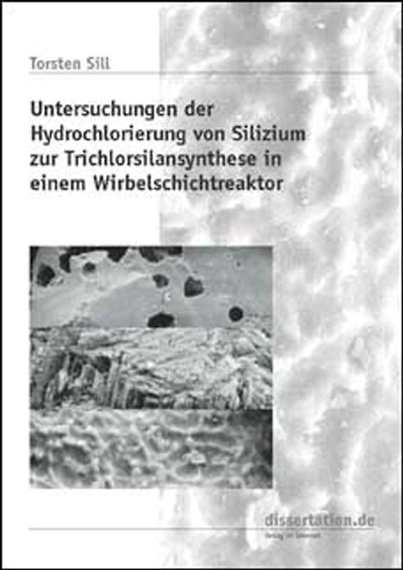 Untersuchungen der Hydrochlorierung von Silizium zur Trichlorsilansynthese in einem Wirbelschichtreaktor