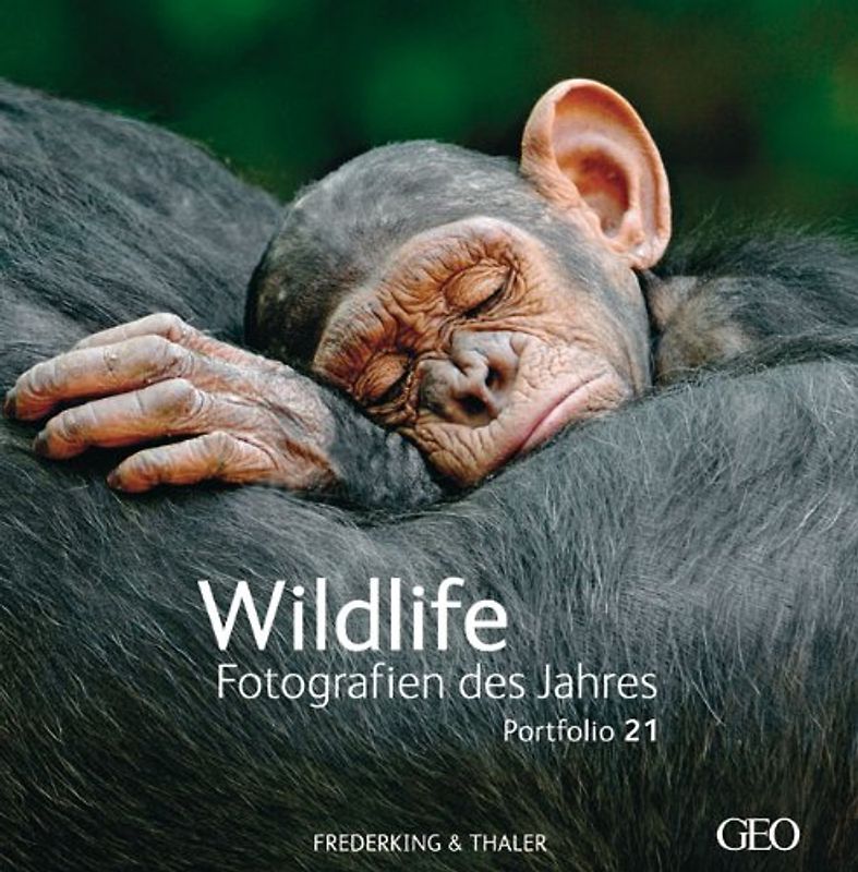 Wildlife Fotografien des Jahres