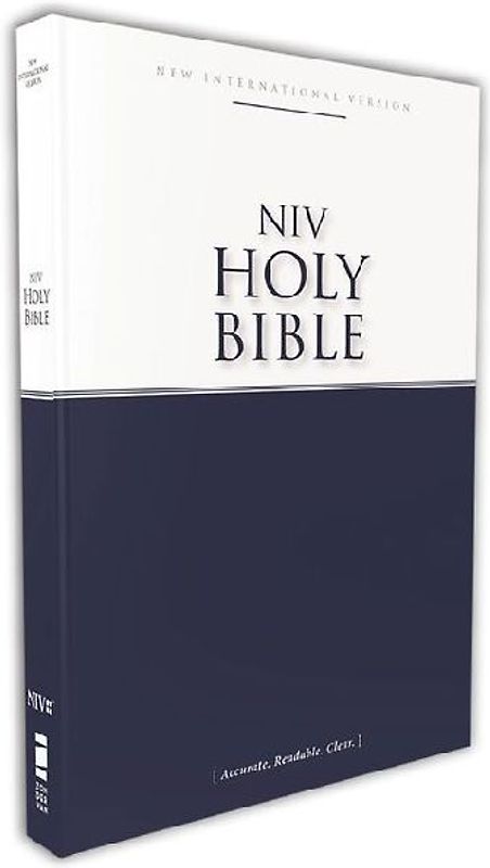 Economy Bible-NIV