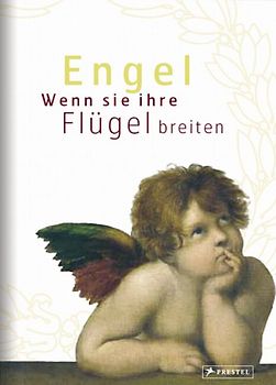 Engel. Geschenkbuch