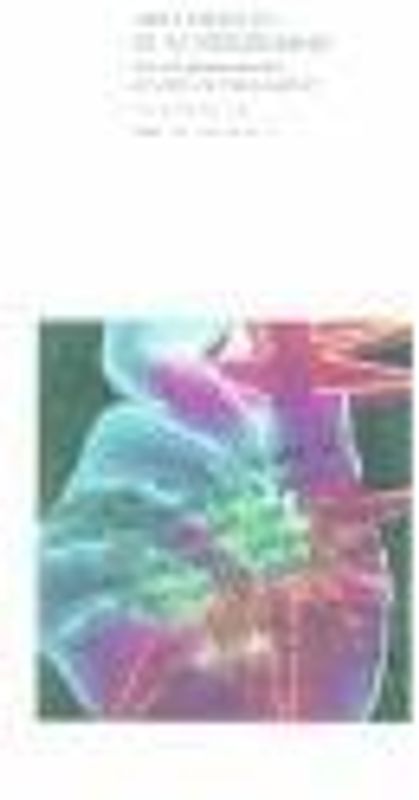 Arte después de la modernidad : nuevos planteamientos en torno a la representación