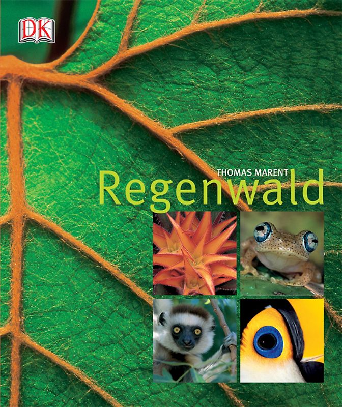 Regenwald
