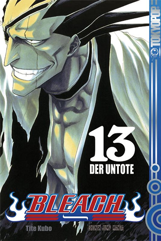 Bleach 13