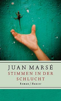 Stimmen in der Schlucht