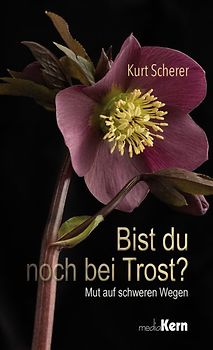 Bist du noch bei Trost?
