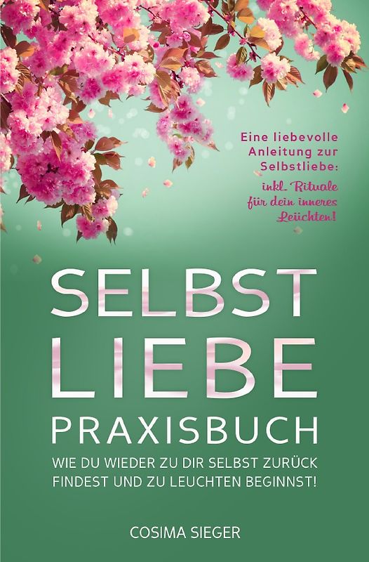 SELBSTLIEBE PRAXISBUCH: Wie Du wieder zu Dir selbst zurück findest und zu leuchten beginnst!