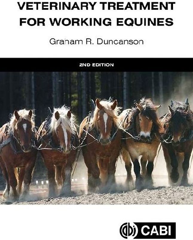 Veterinary Treatment for Working Equines