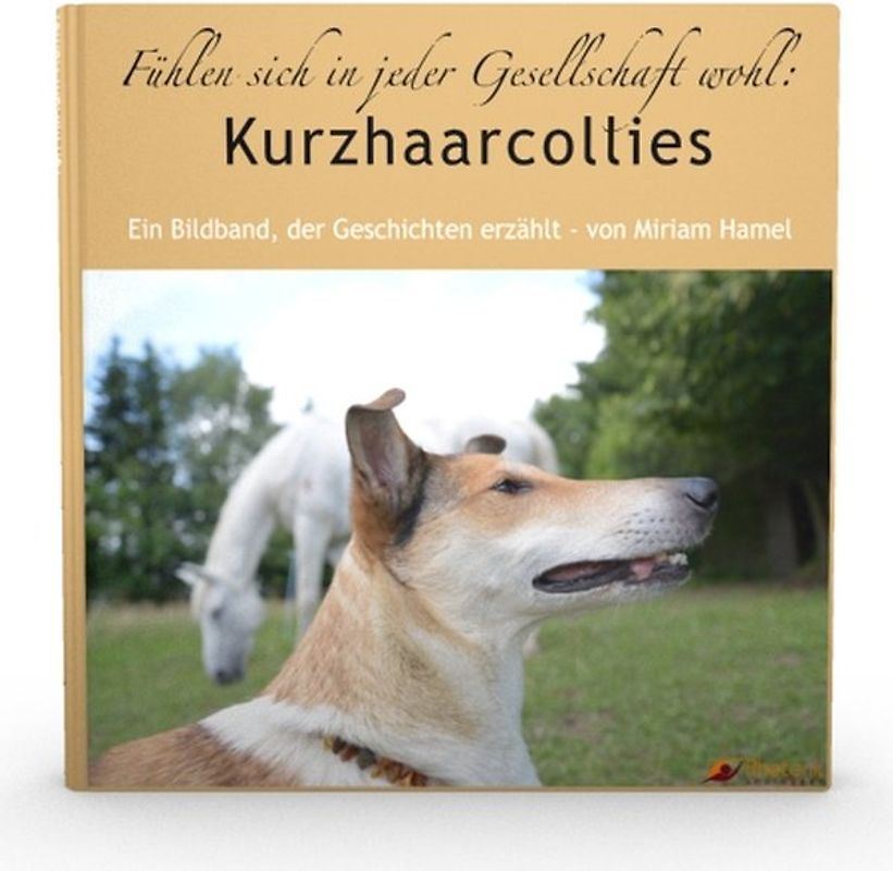 Fühlen sich in jeder Gesellschaft wohl: Kurzhaarcollies