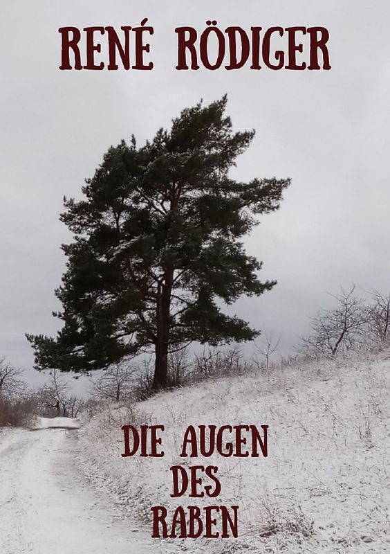 Die Augen des Raben