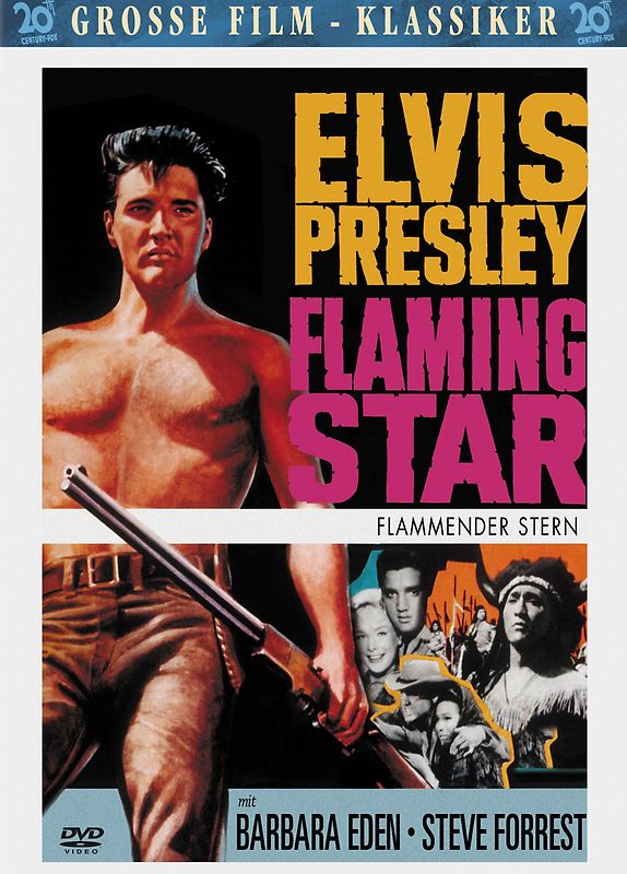 Elvis: Flammender Stern DVD