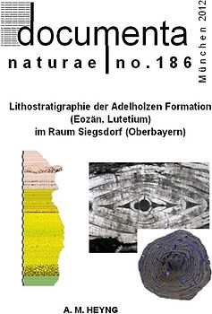 Neugliederung der Adelholzener Schichten (Eozän, Nordhelvetikum) im Raum Siegsdorf-Bad Adelholzen unter besonderer Berücksichtigung der Großforaminiferen und Molluskenfauna
