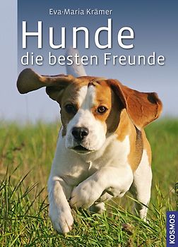 Hunde, die besten Freunde