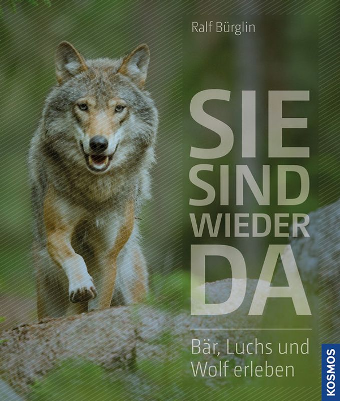 Sie sind wieder da