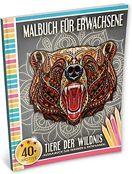 Kleestern Malbuch für Erwachsene