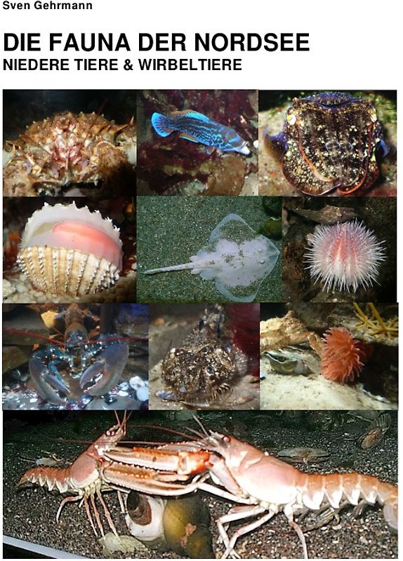 Die Fauna der Nordsee - Niedere Tiere & Wirbeltiere