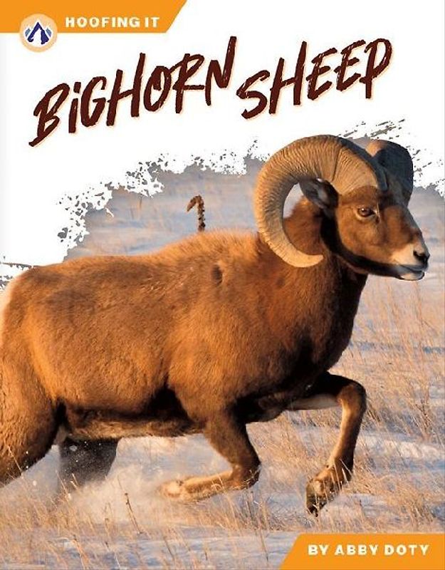 Bighorn Sheep