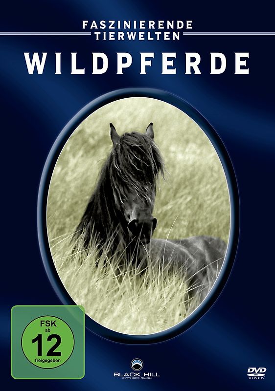 Faszinierende Tierwelt: Wildpferde DVD