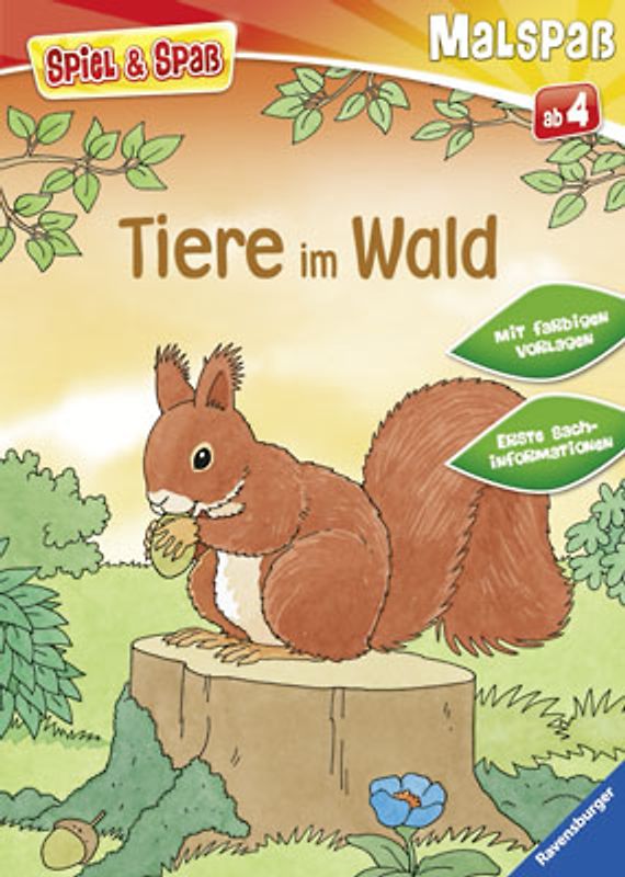 Tiere im Wald